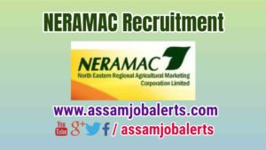 NERAMAC Recruitment of Administrative Officer, Manager, Advisor, Coordinator, Finance & Accounts, Advisor Seeds posts