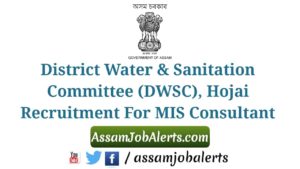 DWSC Hojai Recruitment For MIS Consultant
