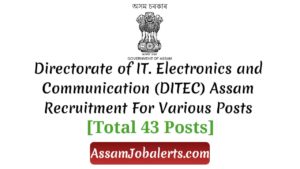 Directorate of IT. Electronics and Communication (DITEC) Assam Recruitment