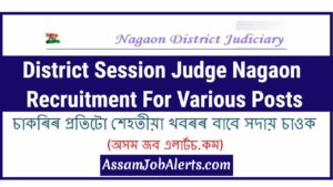 District Session Judge Nagaon Recruitment For Various Posts