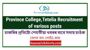Province College,Tetelia Recruitment of various posts
