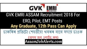 GVK EMRI ASSAM Recruitment 2018 For ERO, Pilot, EMT Posts - Any Graduate, 12th Pass Can Apply