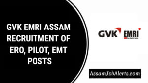 GVK EMRI ASSAM RECRUITMENT OF ERO, PILOT, EMT POSTS