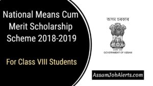 National Means-Cum-Merit Scholarship Scheme 2018-2019 For Class VIII Students.