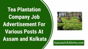 Tea Plantation Company Job Advertisement For Various Posts At Assam and Kolkata
