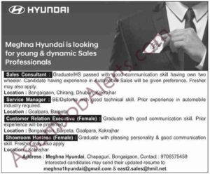 Meghna Hyundai Recruitment