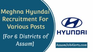Meghna Hyundai Recruitment For Various Posts