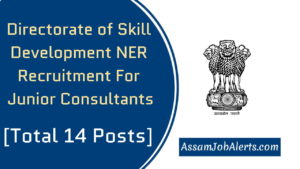Directorate of Skill Development NER Recruitment For Junior Consultants