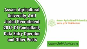 Assam Agricultural University, AAU Jorhat Recruitment 2019 Of Consultant, Data Entry Operator and Other Posts.