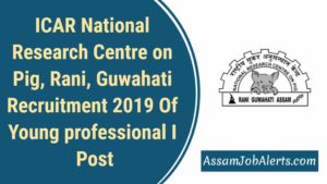 ICAR National Research Centre on Pig Rani Guwahati Recruitment 2019 Of Young professional I Post