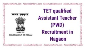 TET qualified Assistant Teacher (PWD) Recruitment in Nagaon