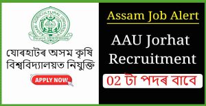 AAU Jorhat Recruitment 2024