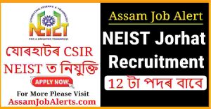NEIST Jorhat Recruitment